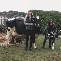 Dr. Gerhild Genger und Mag. Katrin Thalmayr mit Kühen