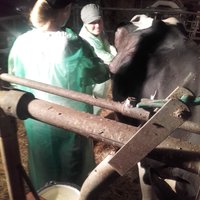 Dr. Genger und Mag. Thalmayr bei der Arbeit